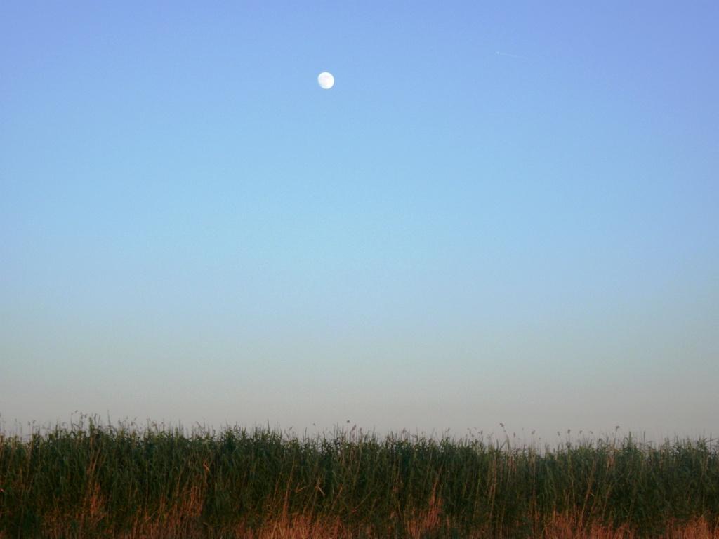 Luna plina - gedc0305.JPG